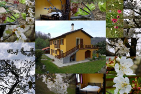  La Bordigona  Карродано